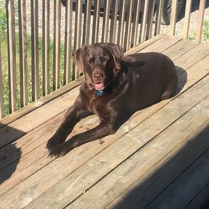 Meet your Posher, Matt